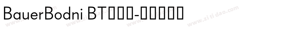 BauerBodni BT转换器字体转换